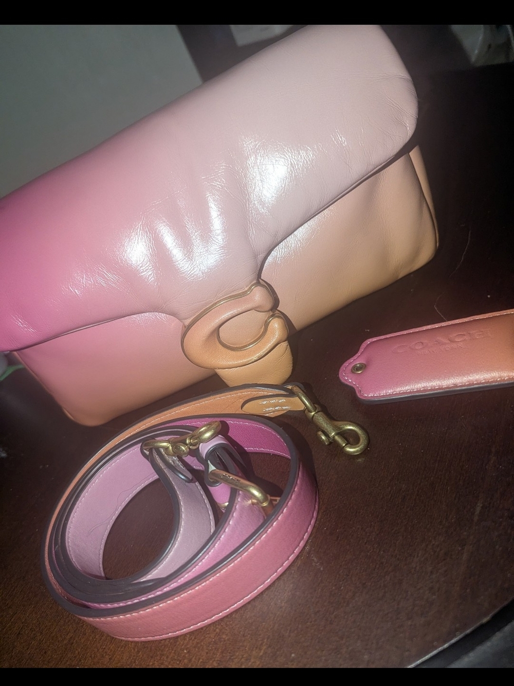 Coach Pink Ombre Pillow Tabby 26